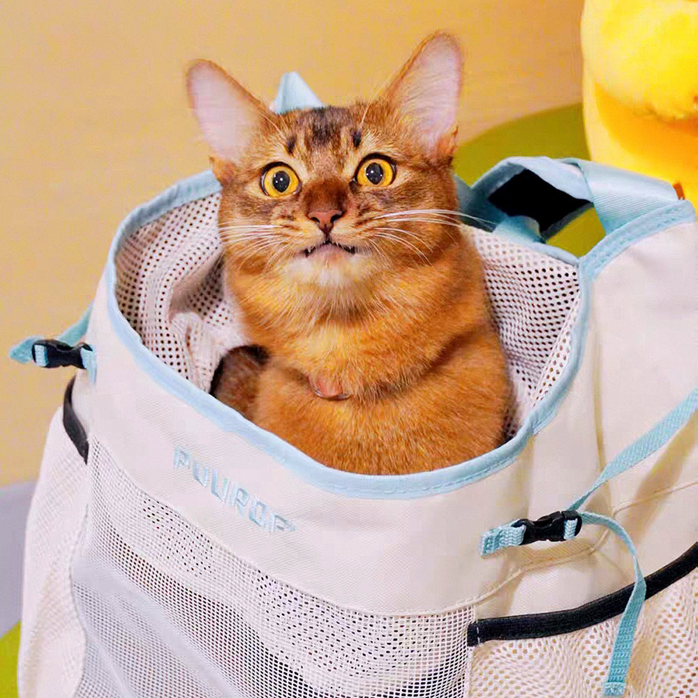 Breathable Summer Pet Front Carrier Backpack