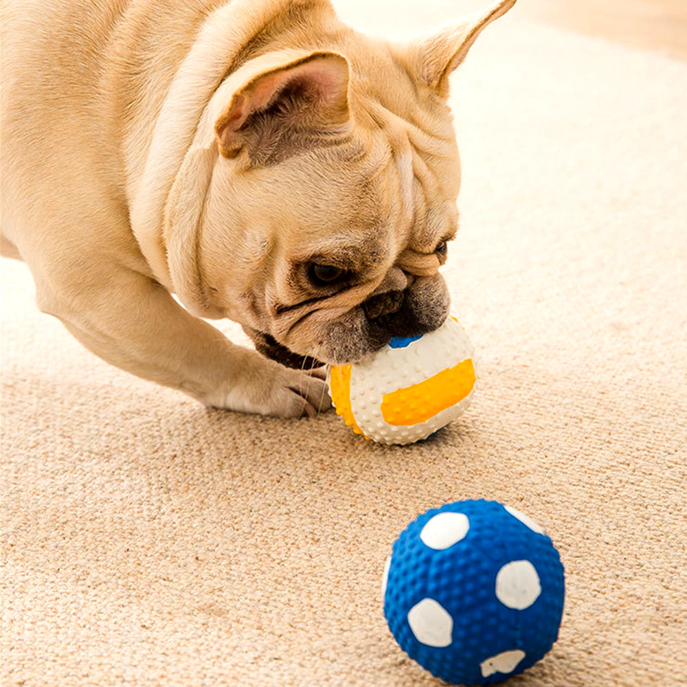 Squeaky Latex Dog Toy Ball