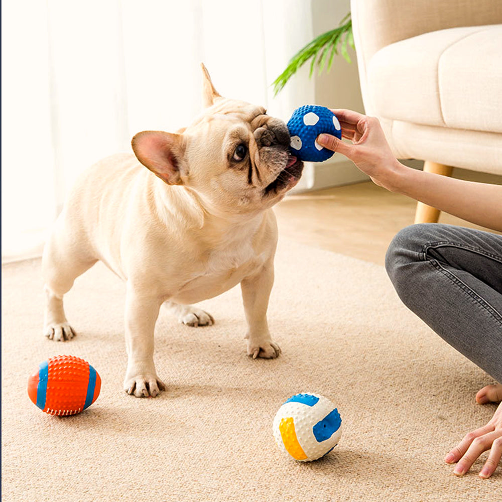Squeaky Latex Dog Toy Ball