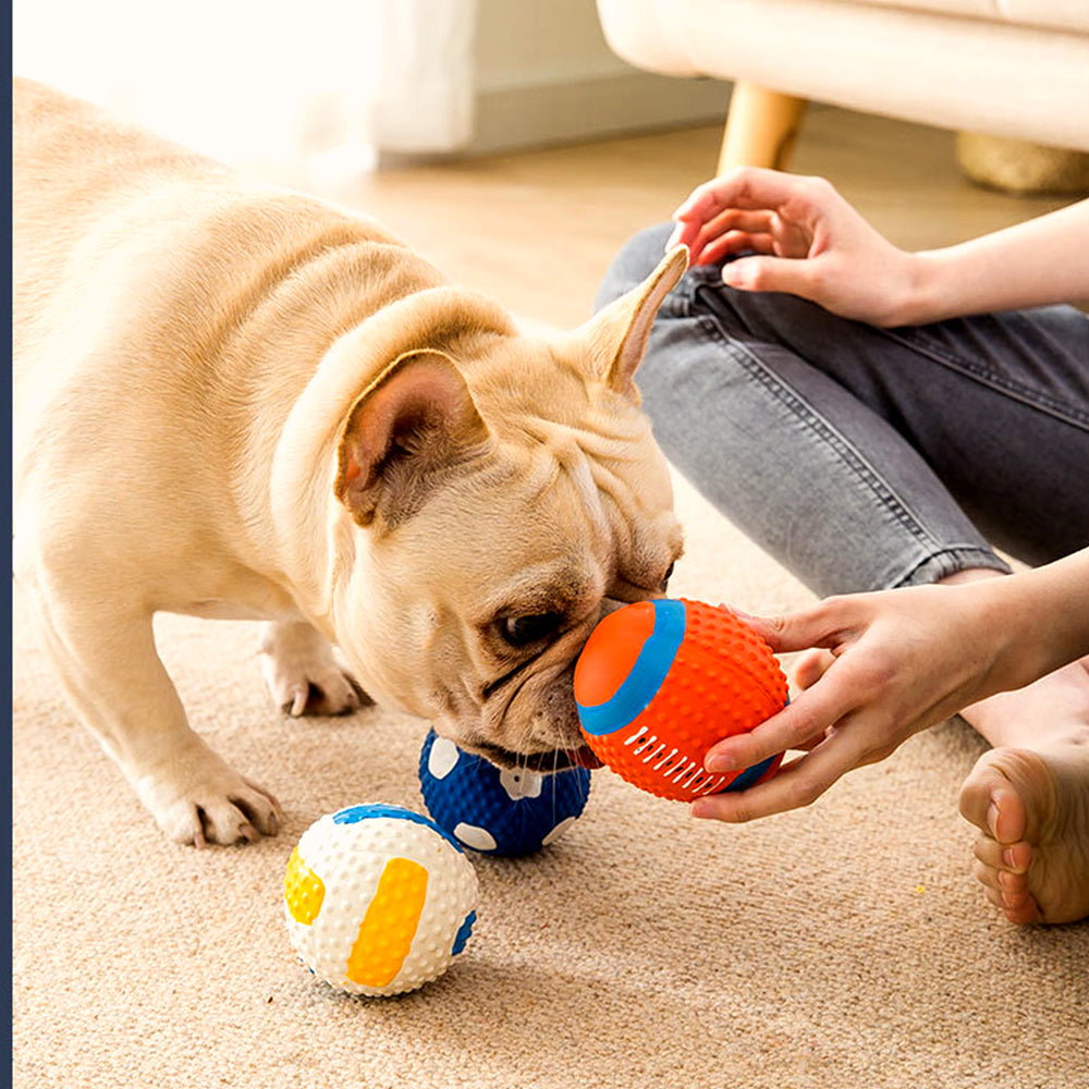 Squeaky Latex Dog Toy Ball