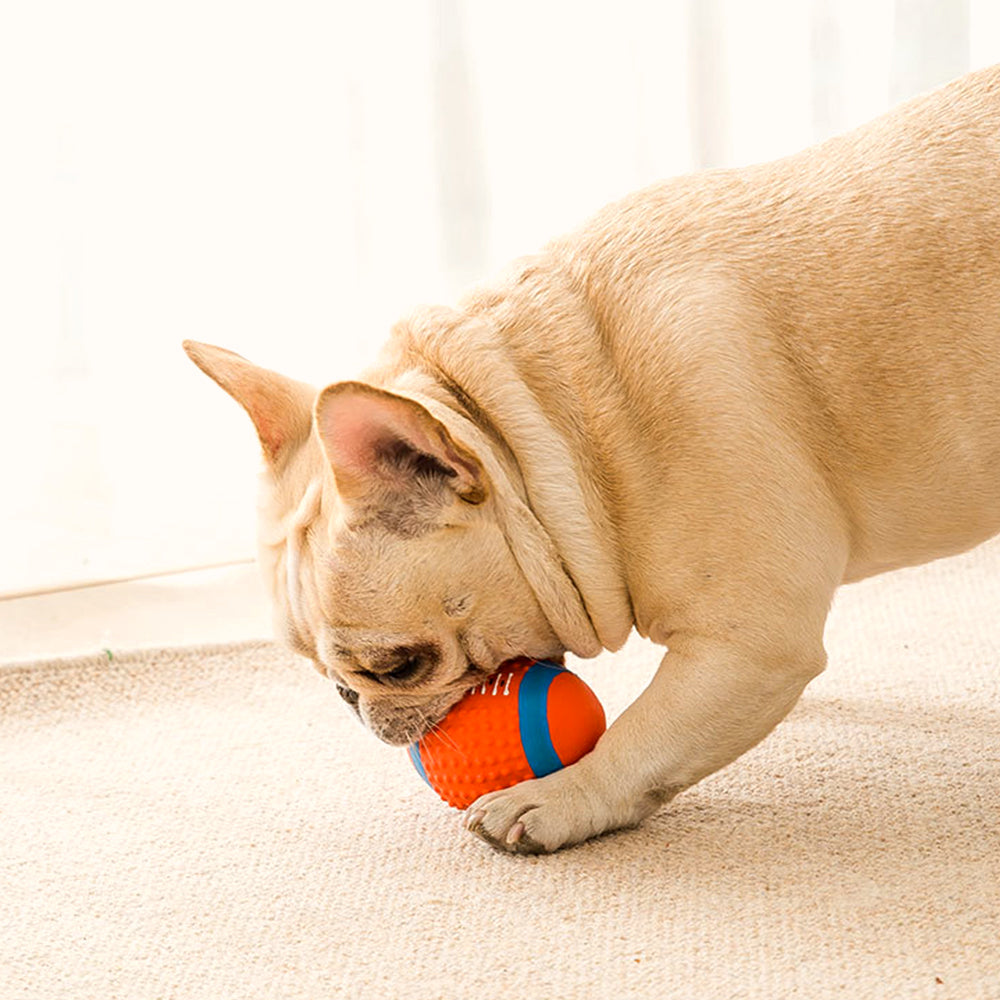 Squeaky Latex Dog Toy Ball