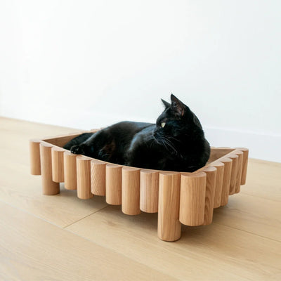 Bambu