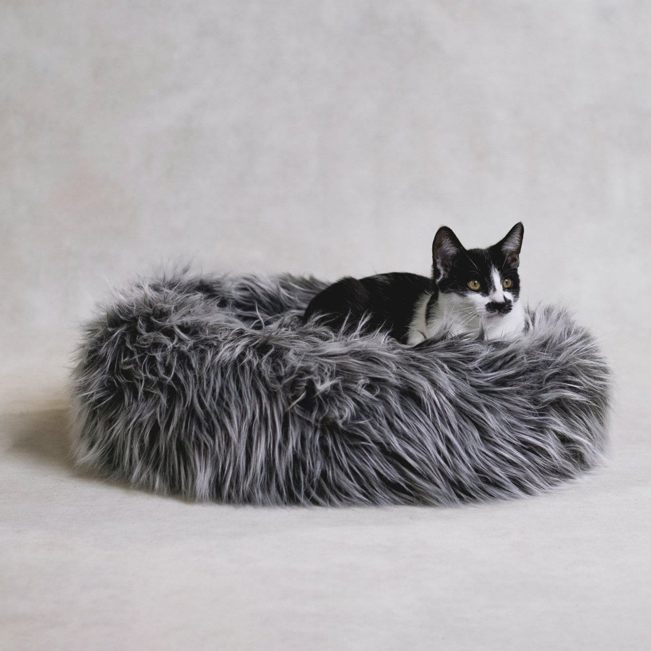 Fluffi Donut