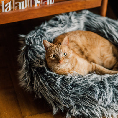 Fluffi Donut