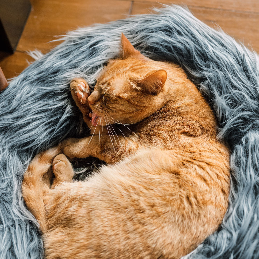 Fluffi Donut