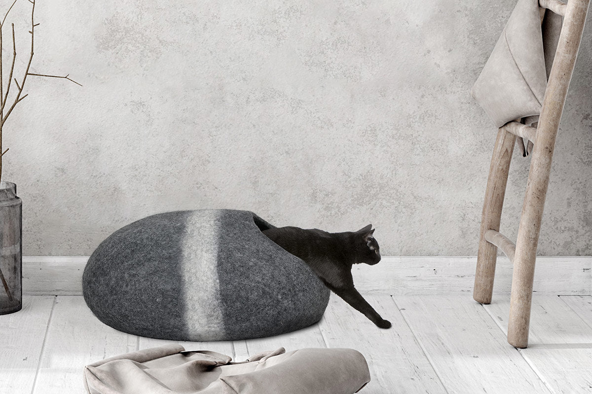 Horizon Cat Cave