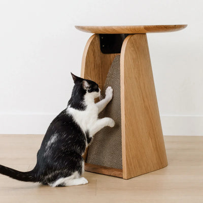 2x Kona Scratcher Refills