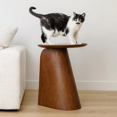 Kona Scratcher