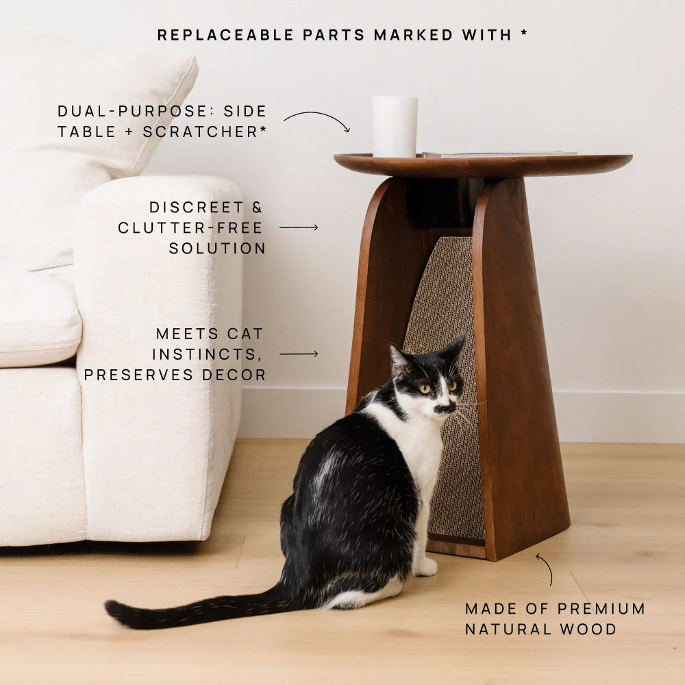 Kona Scratcher