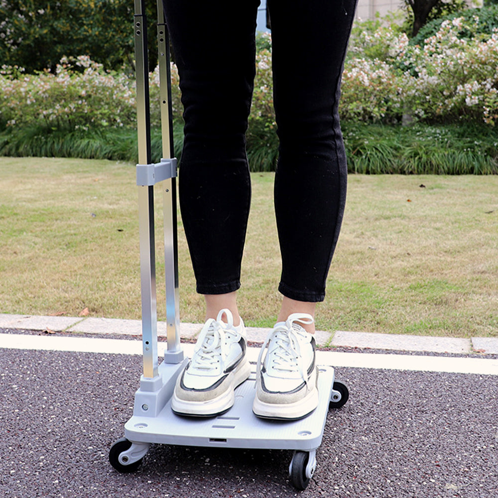 Large Oxford Fabric Pet Backpack & Trolley Case