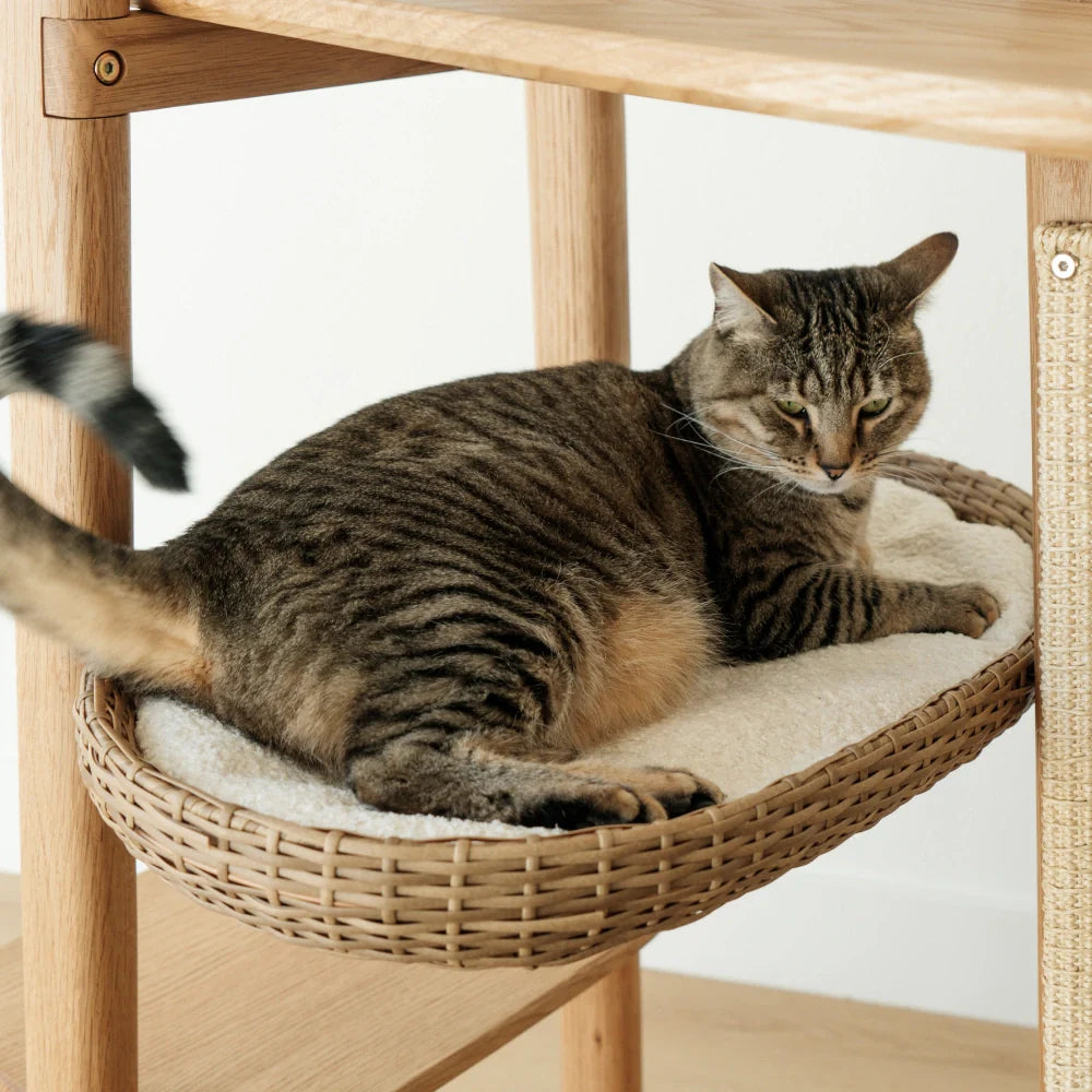 Cushion Pair (For Reiya)