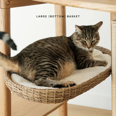 Basket (For Reiya)