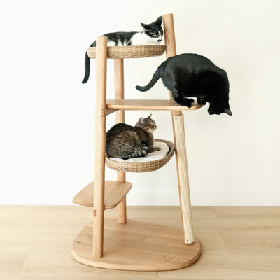 Basket (For Reiya)