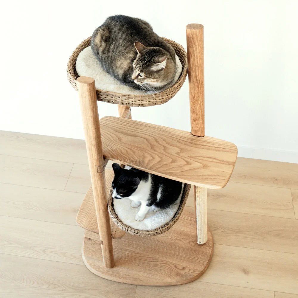 Cushion Pair (For Reiya)