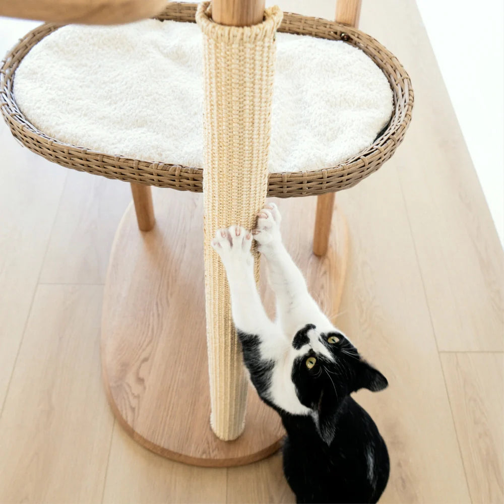 Scratching Pad (For Reiya)