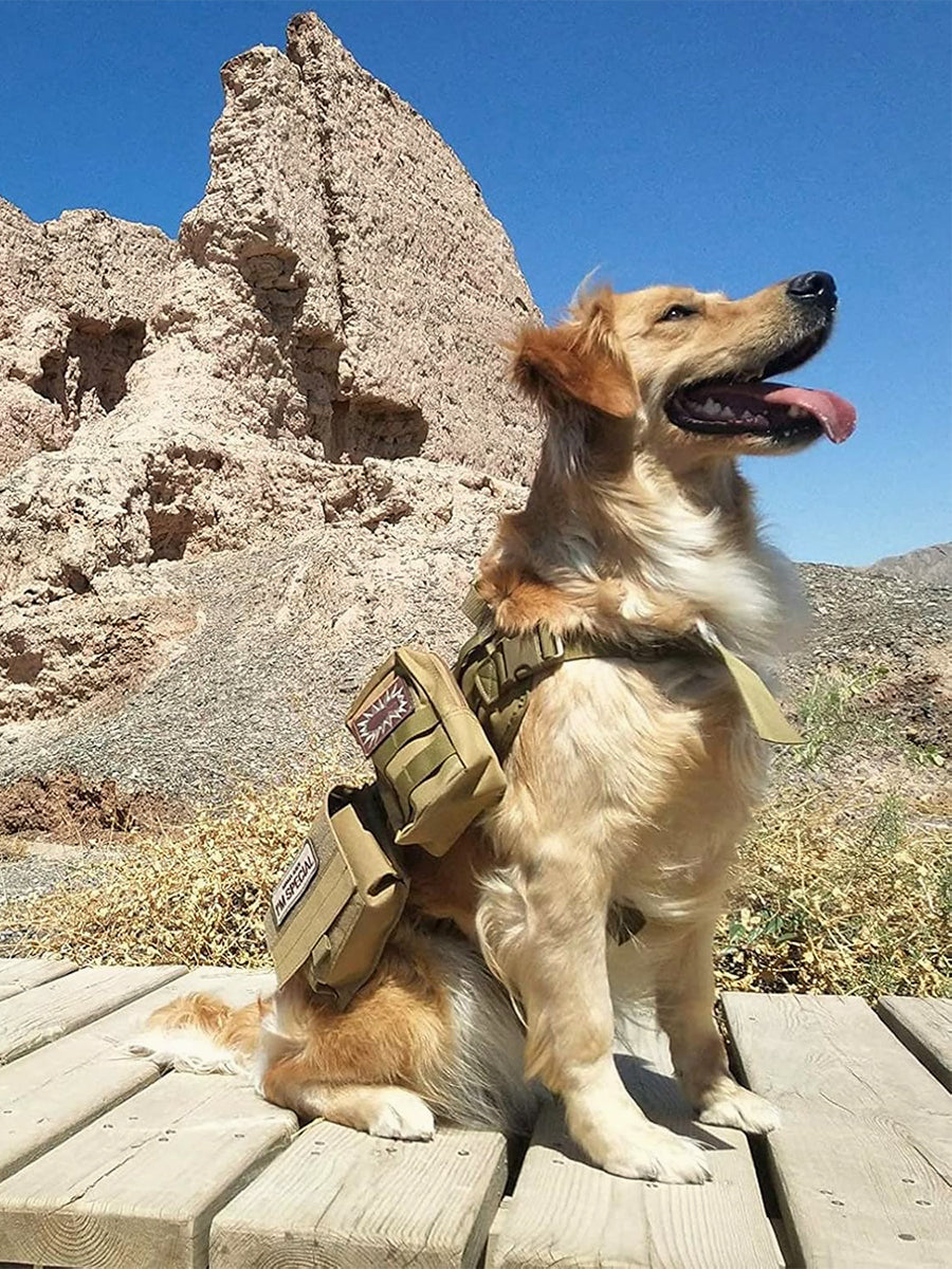 Outdoor Camping Tactical Dog Harness with Leash Set