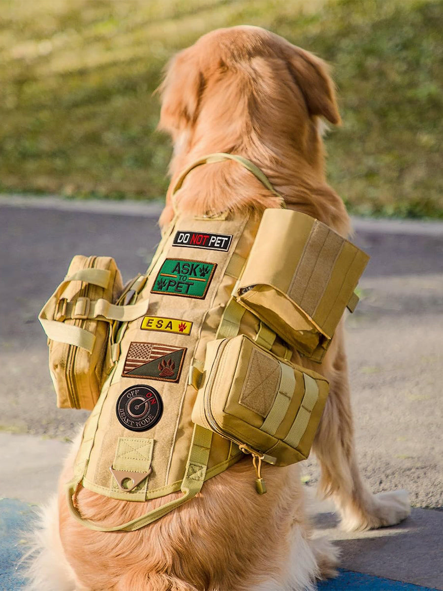 Outdoor Camping Tactical Dog Harness with Leash Set