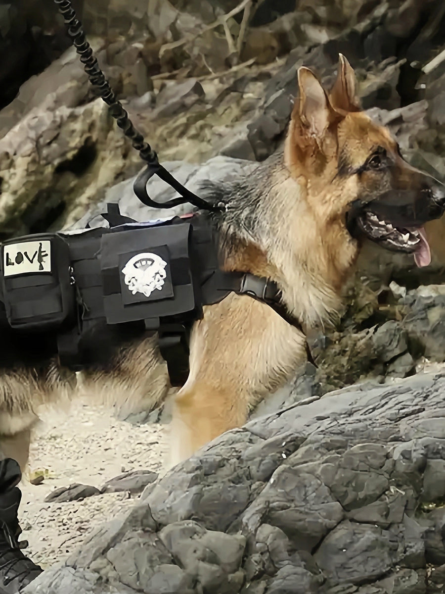 Outdoor Camping Tactical Dog Harness with Leash Set