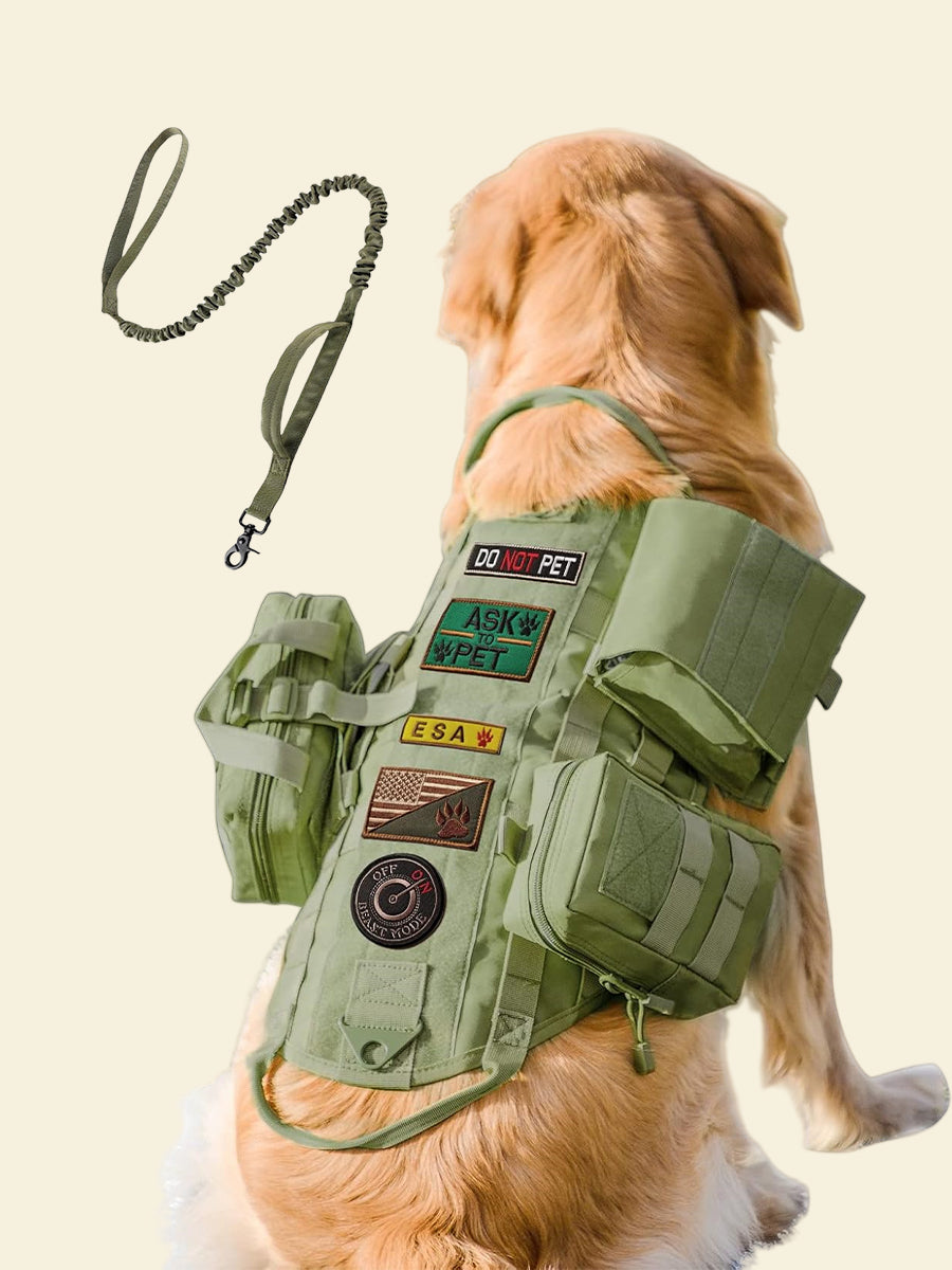 Outdoor Camping Tactical Dog Harness with Leash Set