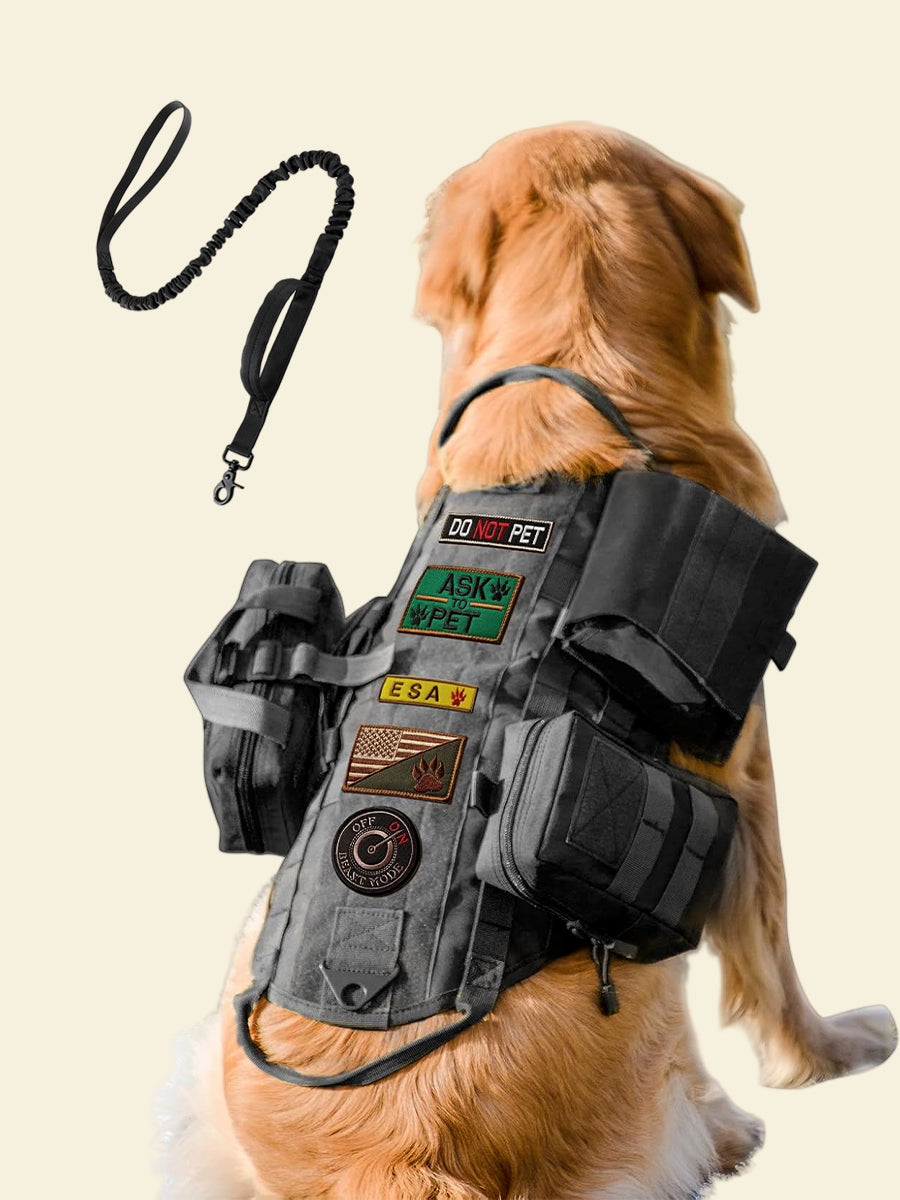 Outdoor Camping Tactical Dog Harness with Leash Set