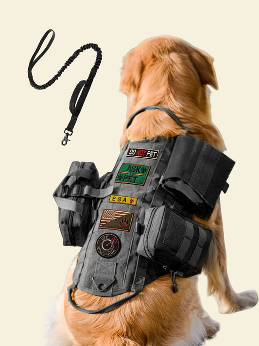 Outdoor Camping Tactical Dog Harness with Leash Set
