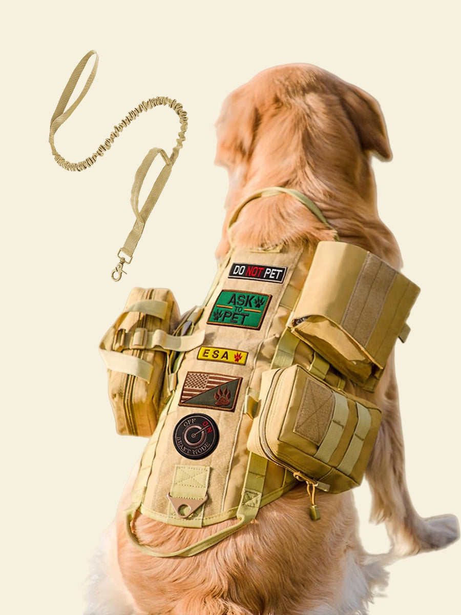 Outdoor Camping Tactical Dog Harness with Leash Set