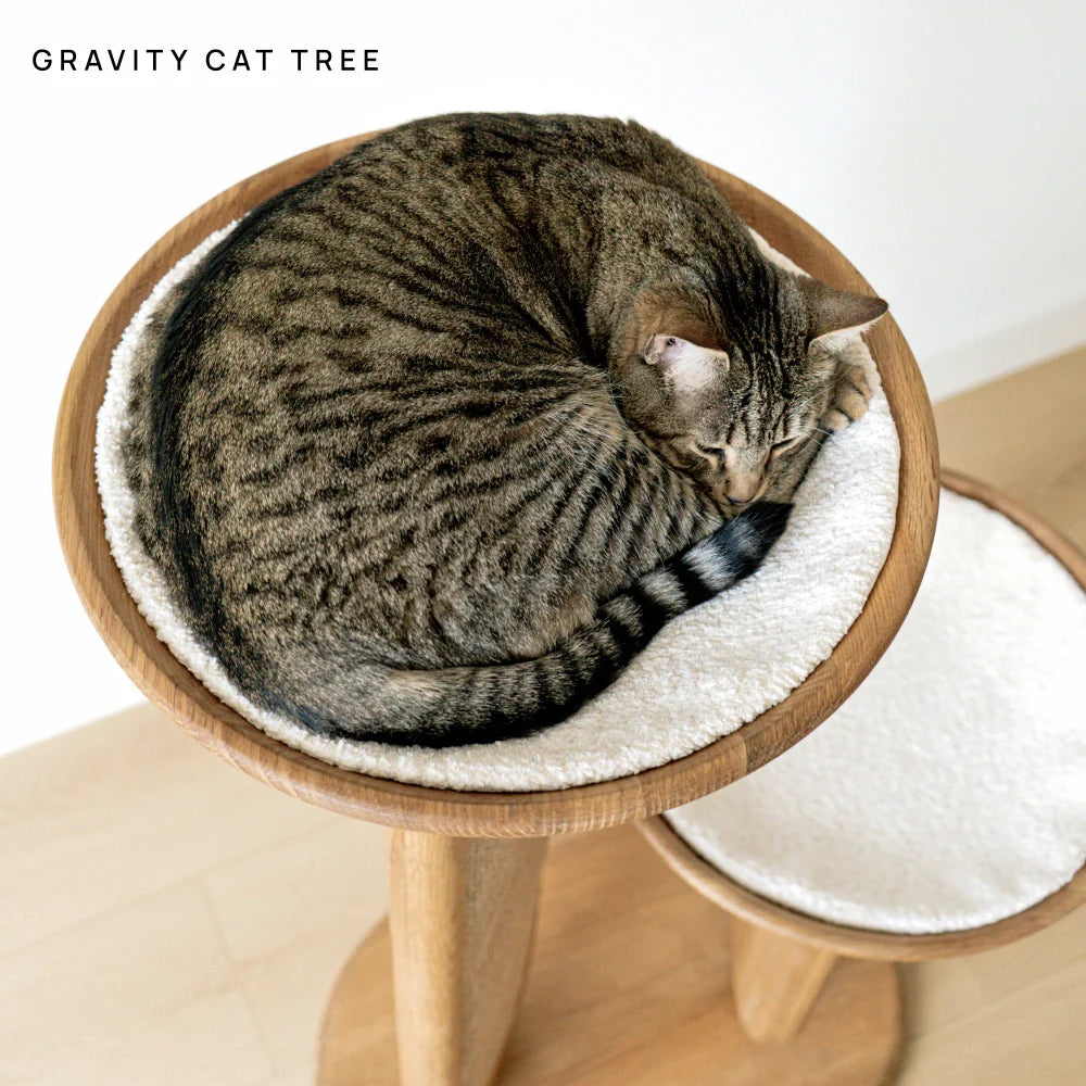 Cushion (For Bao & Gravity)