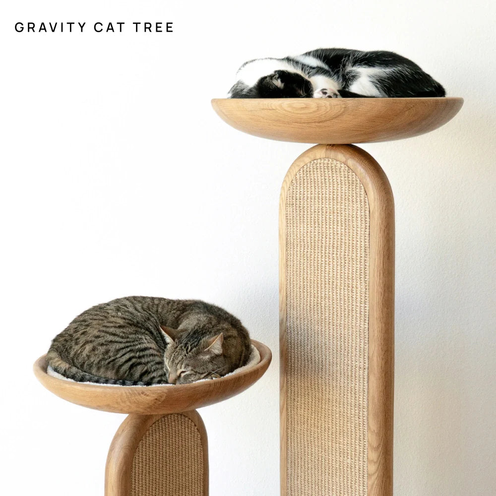 Cushion (For Bao & Gravity)