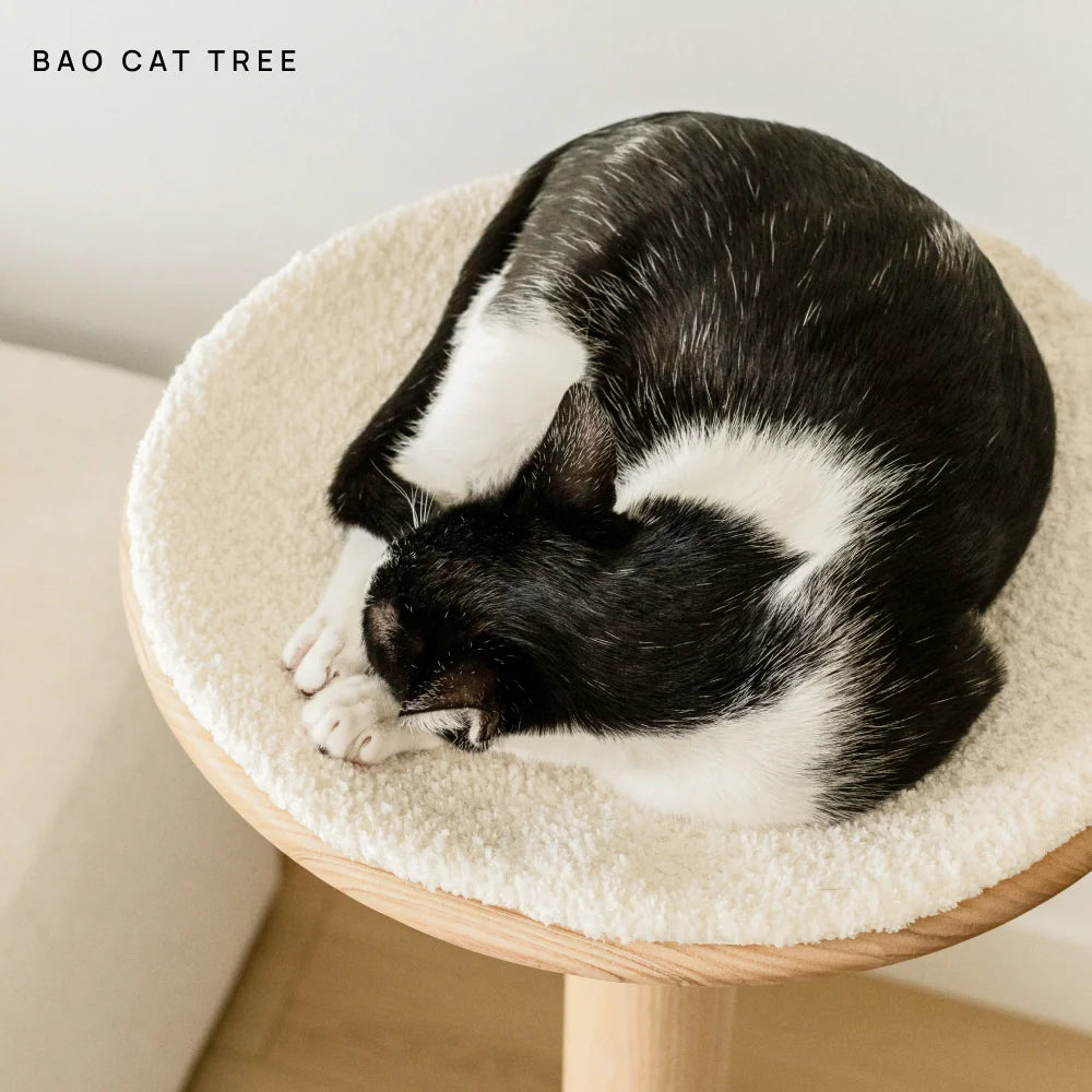 Cushion (For Bao & Gravity)