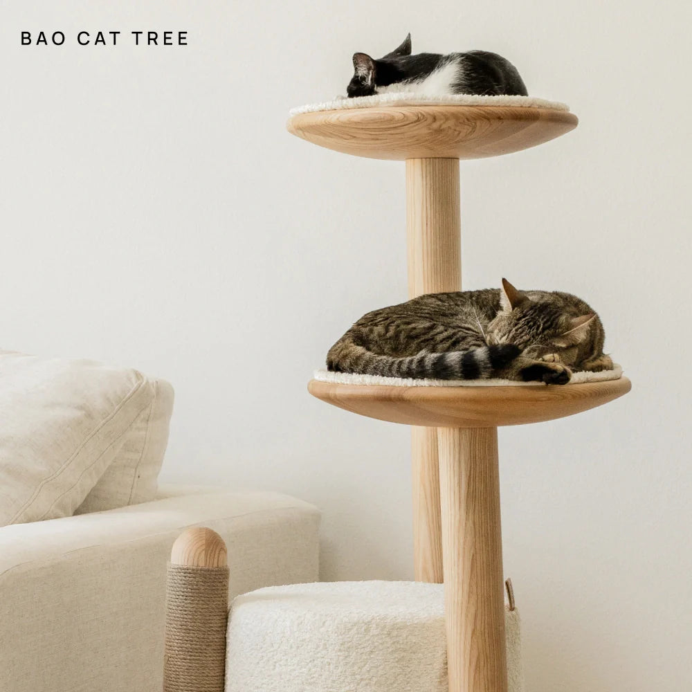 Cushion (For Bao & Gravity)