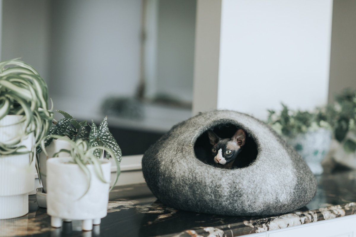 Skyline Cat Cave